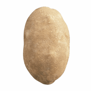 Brown Potato 3797