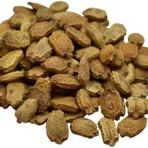 F-1 Hybrid Bitter Gourd Seeds