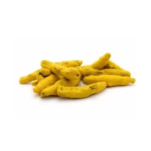 Dried Turmeric Finger